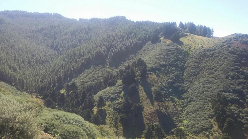 Cabanas Valle Verde 모야 외부 사진