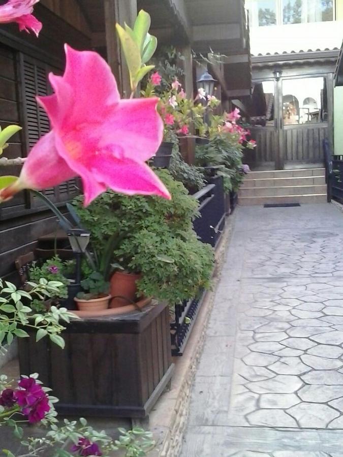 Cabanas Valle Verde 모야 외부 사진
